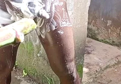 Outdoor Shower Takes Into Wide Cumshots