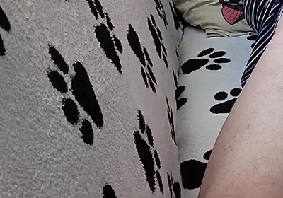 Dildo in My Ass
