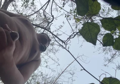 Chinese Bear