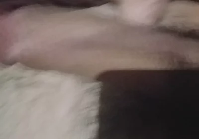 Dick in Action