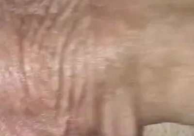 Fucking a Sissy Without Condoms Until Hot Cum