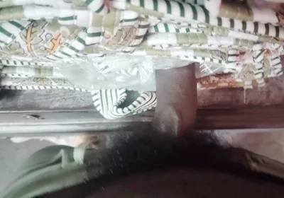Desi Solo