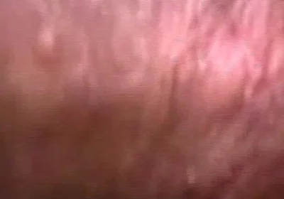 Latin Cocks Scene-3_muscular, Horny Latino Gays Want Their Asses Filled