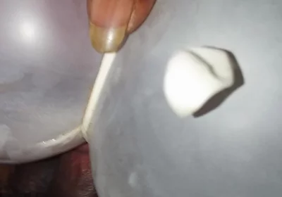 Thick Dick Adventures