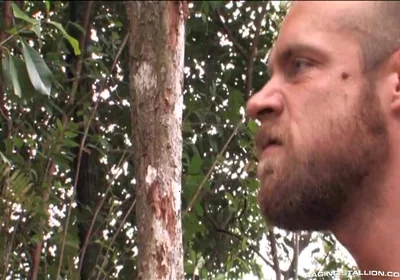 Lords of the Jungle