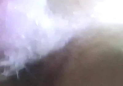 Destroyed by a 26cm Cock