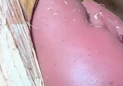 The Prisoner Find Hard Way to Sex