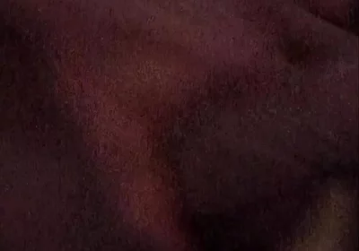 Lonely Angry Dick