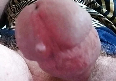 Let Cock Be Your Guide