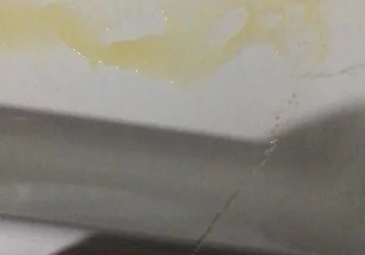 Peeing in the Bathtub