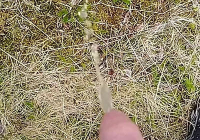 Pissing up in the Mountains