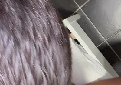Fucked by the Black Cock