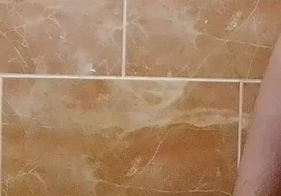 I Made a Video in the Toilet While Taking a Shower.