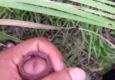 Masturbating in the Sugarcane Field