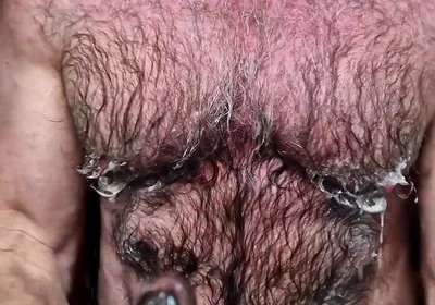 Hairy Muscle Bear Cools Down