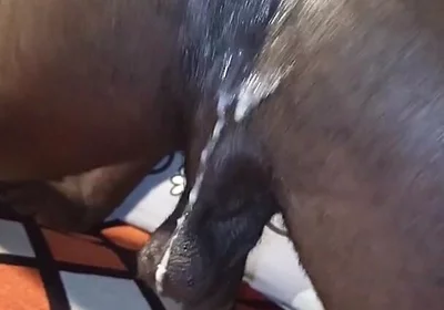 Muscline Hairy Big Black Cock Hairy Ass