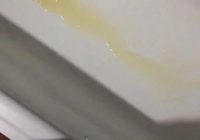Peeing in the Bathtub