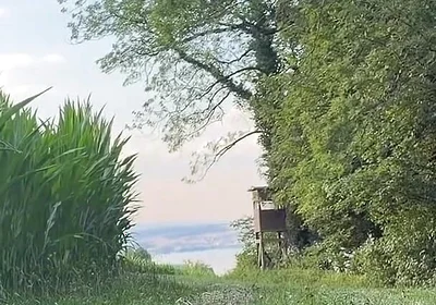 Risky Bwc Stroking Outdoors on Meadow with Lake View - Big Cumshot