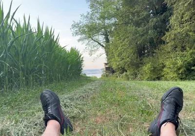 Risky Bwc Stroking Outdoors on Meadow with Lake View - Big Cumshot