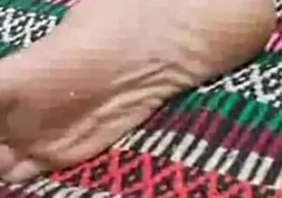 Cock and Feet 7