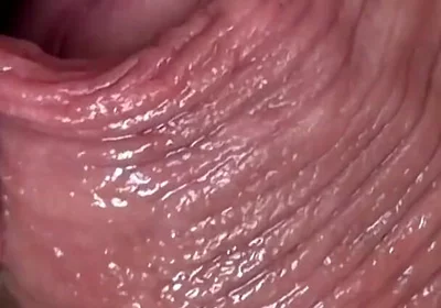 Cocksucker