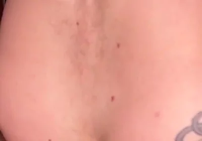 A Wolf Gets Fucked by a Bear