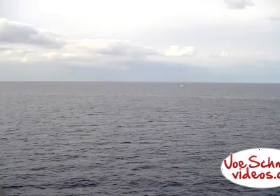 Uncut Brian Blown at Sea