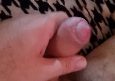 Nice Cock Mirko2589