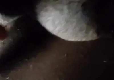 Spit on Your Genitals and Move and Ejaculate