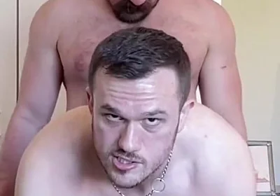 Two Pigs Fuck on a Blanket
