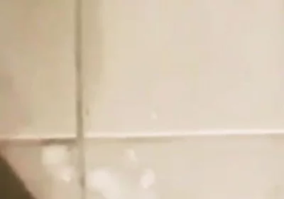 And so About My Cock After a Week of Not Having Sex Jerking off Play