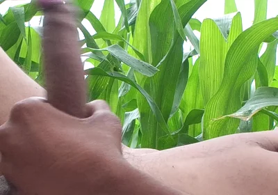 Worldwide Viral Desi Hunk Solo Action Part 4 - Premium Faceless Amateur Close-up Raw Stroking Session 4K