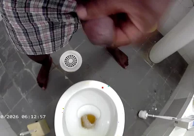 Jerking and Pissing in the Toilet