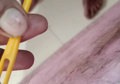 Small Black Cock