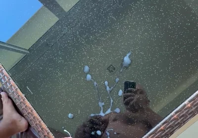 Cum on the Table Before Airbnb Checkout