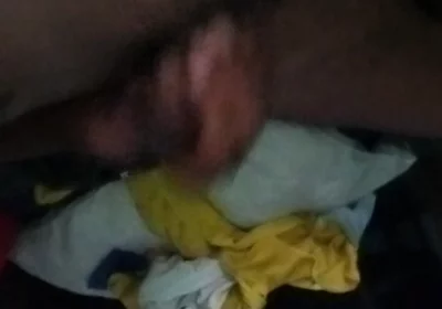They Suck My Cock