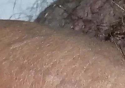 Gresopio in Male Feet 16