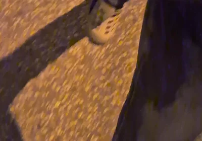 Pissing Jeans in Public