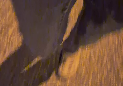 Pissing Jeans Outdoors