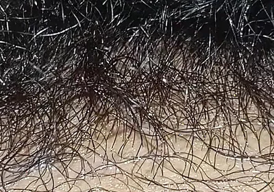 Handboy Masturbation After Frist Time