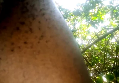 Travel bush