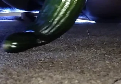 Virgin Ass Cucumber Femboy
