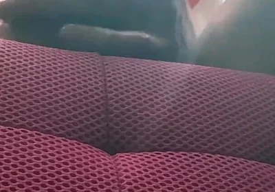 Camera Facing up From Floor See Head of 10 in Bwc Veiny