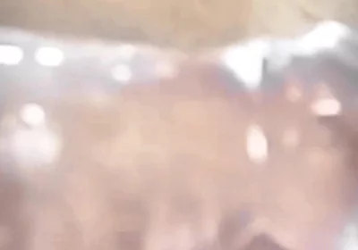 Who Orders Donuts with the Old Man's Penis