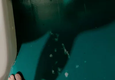 Shot Solo