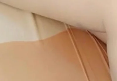 48 Paying for Sexual College with My Ass