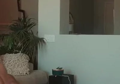The Robery Was Cut and the Guy Got Punished