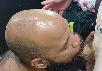 Taking Turns with the Dirty Bear's Ass