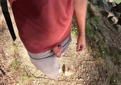 Surprise in the Foliage