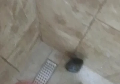 Masturbation Wash